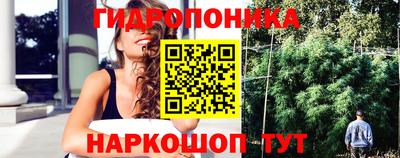 дмт Химки