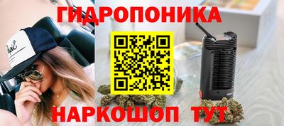 гидра Холмск